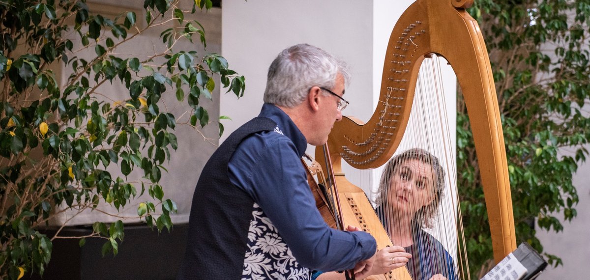 Festival Marco scacchi Gallese 2022